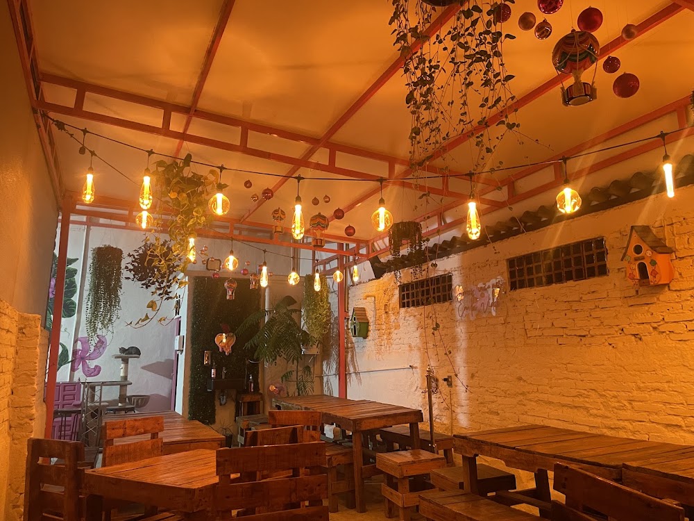 Pinki Combi Cafe, cafetería en Guadalajara, Jalisco