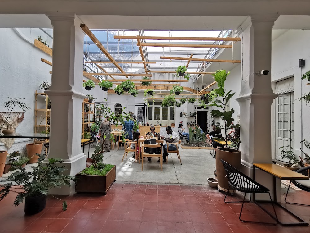 Cafe Endemico, cafetería en Guadalajara, Jalisco