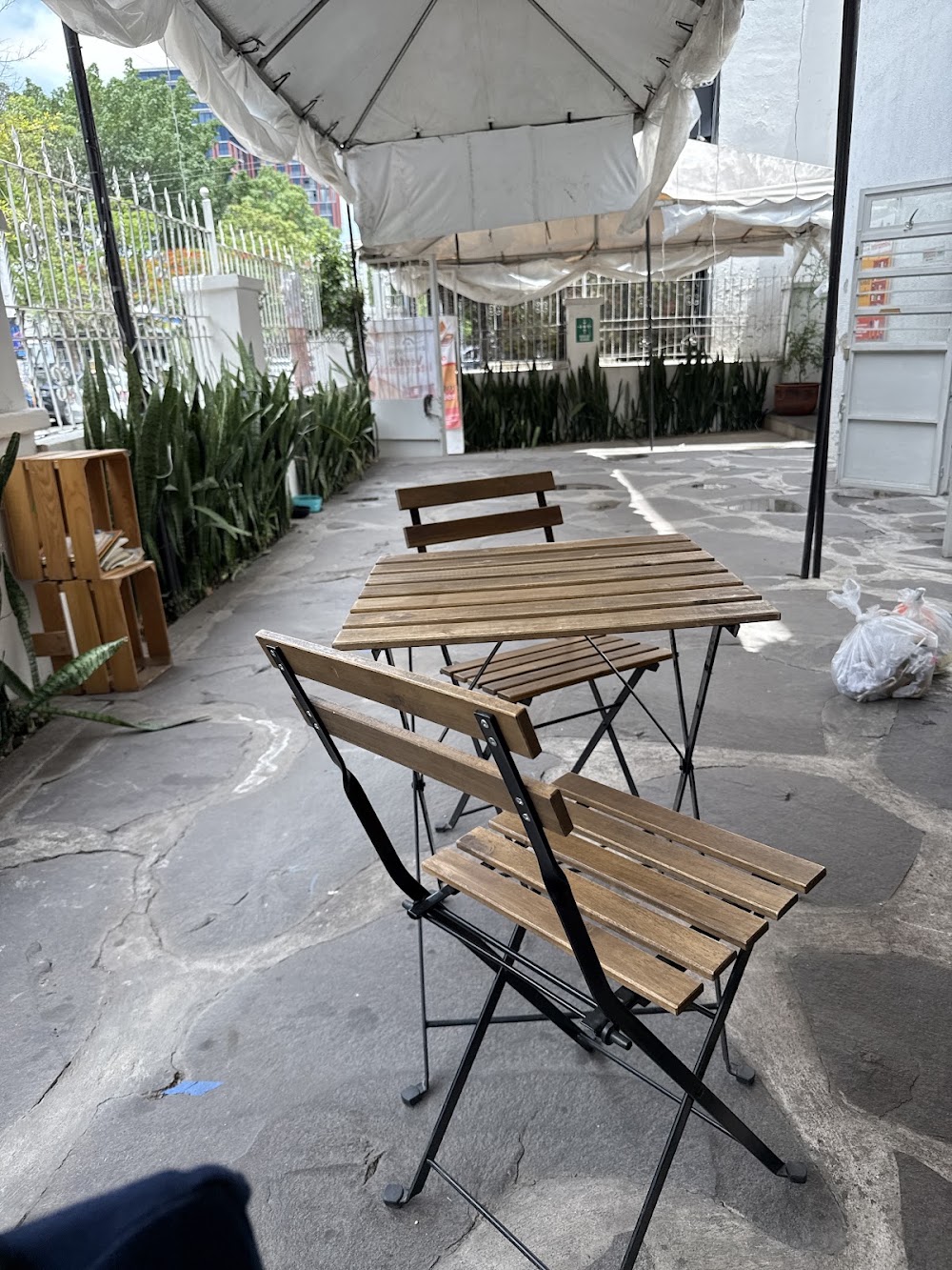 Capeltic, cafetería en Guadalajara, Jalisco