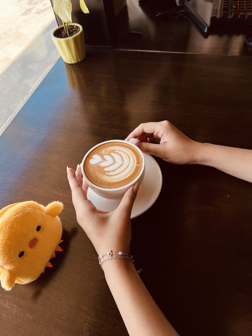 Cafe Dna, cafetería en San Pedro Garza García, Nuevo León