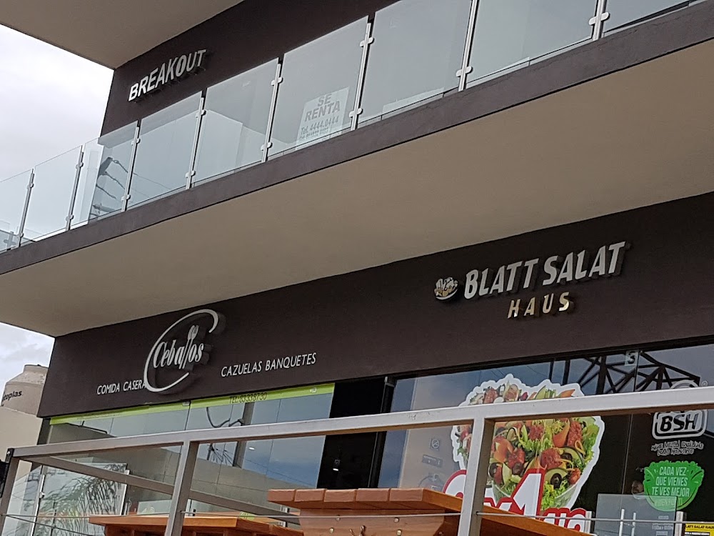 Blatt Salat Haus, cafetería en Monterrey, Nuevo León