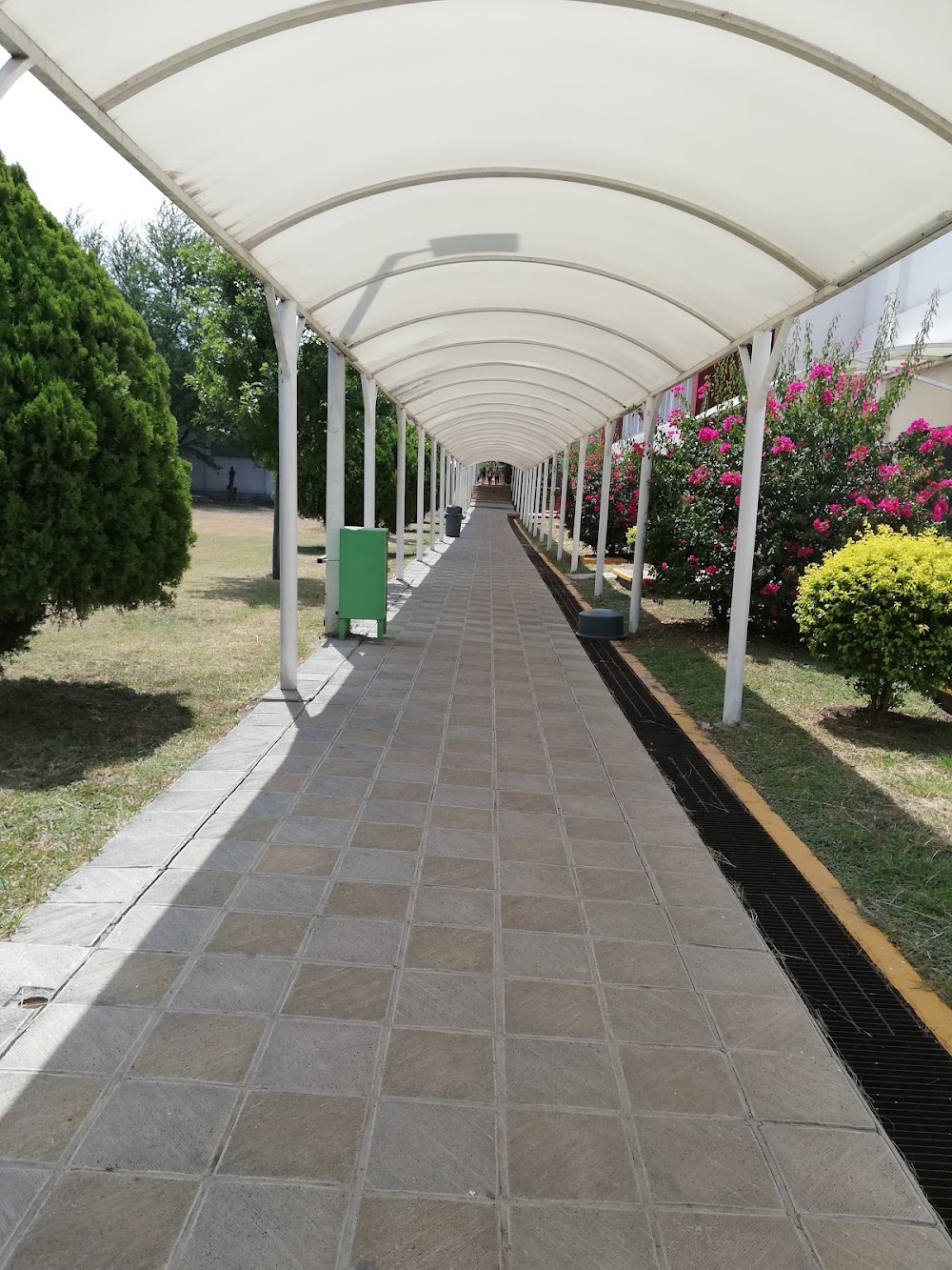 Cafeteria De La Universidad Del Tecnologico De Nuevo Leon, cafetería en Guadalupe, Nuevo León