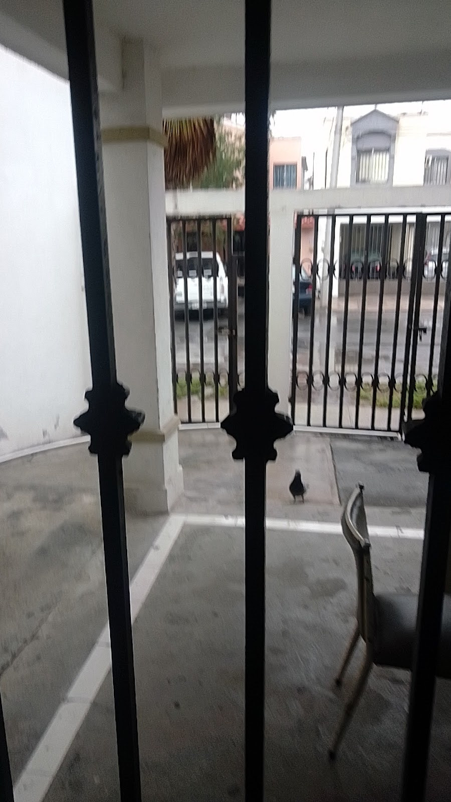 Ecoes De La Escuela Primaria Profesor Guadalupe Chapa Turno Vespertino, cafetería en Monterrey, Nuevo León