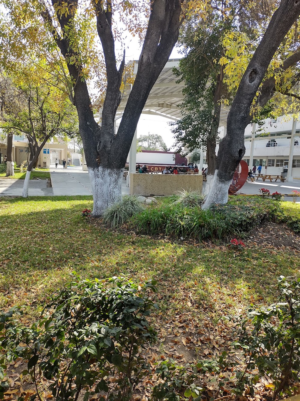 Cafeteria Cbtis 22, cafetería en Monterrey, Nuevo León