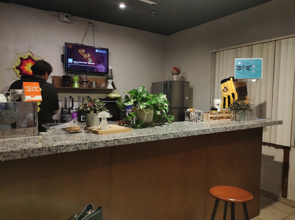 Libel Coffee, cafetería en Monterrey, Nuevo León